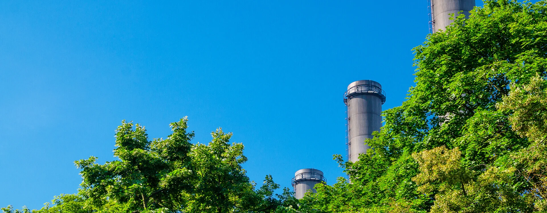 Tình hình rác thải hiện nay – Báo động đỏ toàn cầu