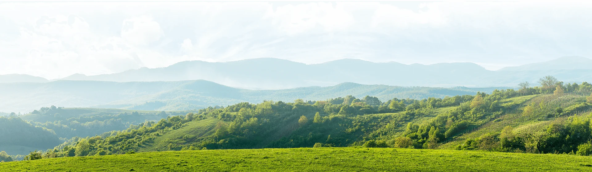 7+ Phương pháp xử lý rác thải sinh hoạt hiệu quả hiện nay